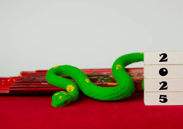 В чем встречать Новый год 2025: модные цвета,образы и идеи