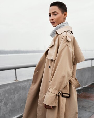 Пыльник в одежде  —  что это?