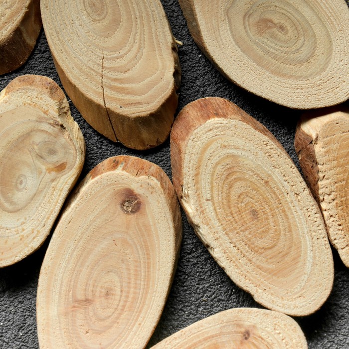 Купить Спилы Дерева Ростов На Дону